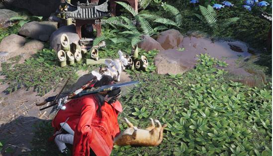 燕云十六声喵喵庙有什么用 不同地区喵喵庙差异