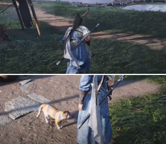 燕云十六声七阀坡猫咪位置