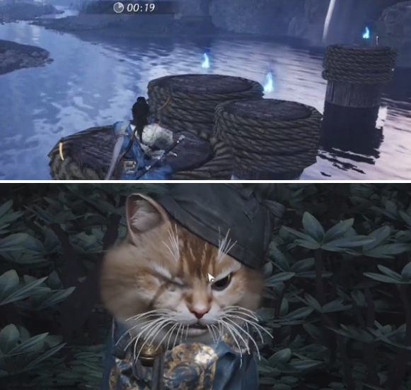 燕云十六声七阀坡猫咪位置