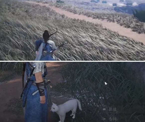 燕云十六声七阀坡猫咪位置