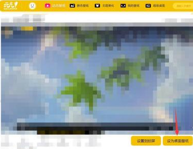 成功设置动态壁纸