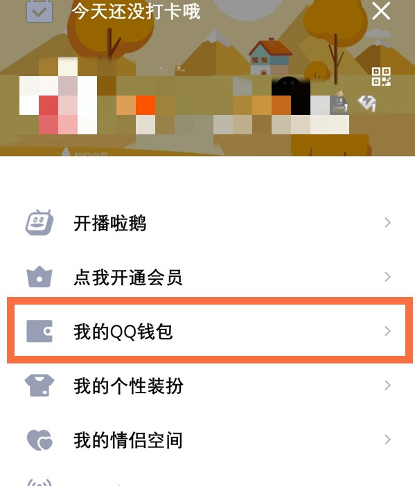 QQ钱包设置界面