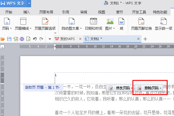 WPS Office 设置起始页步骤四