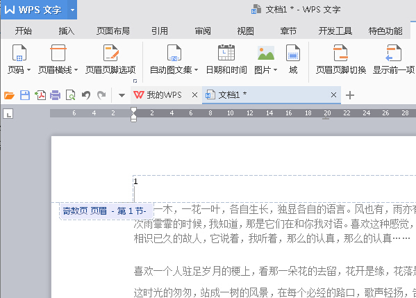 WPS Office 设置起始页步骤三