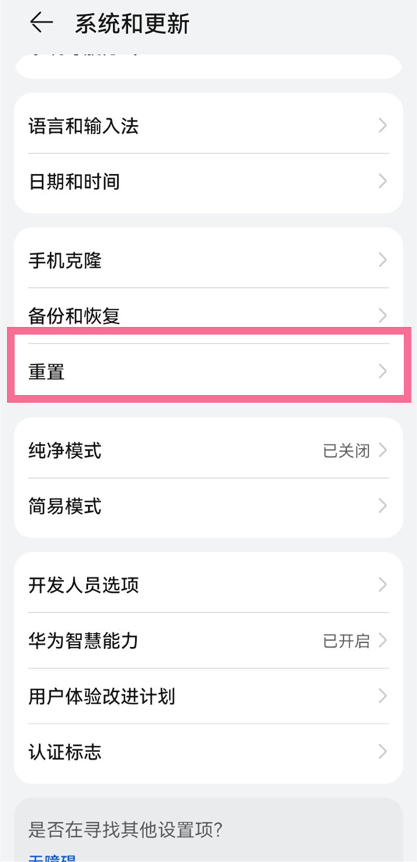 系统更新与重置界面