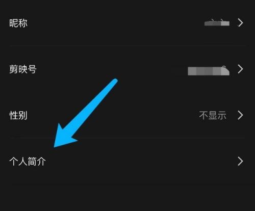 剪映简介设置页面