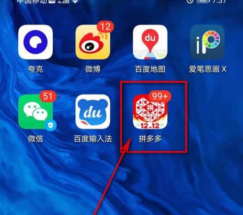 拼多多应用界面截图