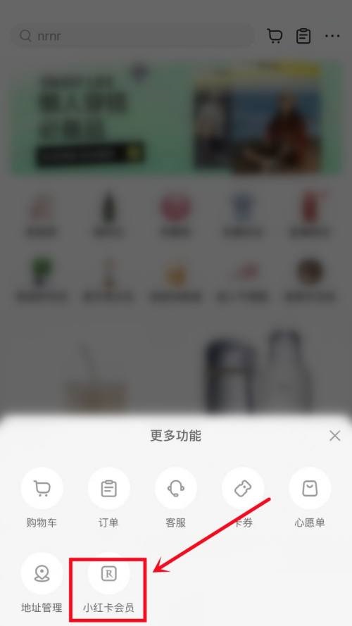 小红书会员开通指南