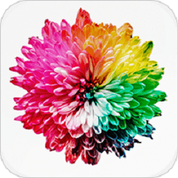 抖屏动态壁纸appv2.5.0