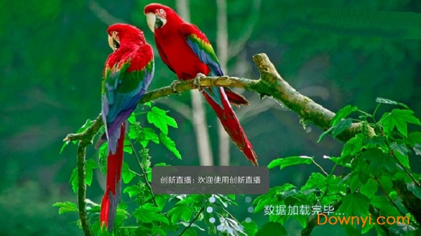 创新直播修改版下载_创新直播tv 修改版下载v1.3.2 安卓最新版 运行截图2