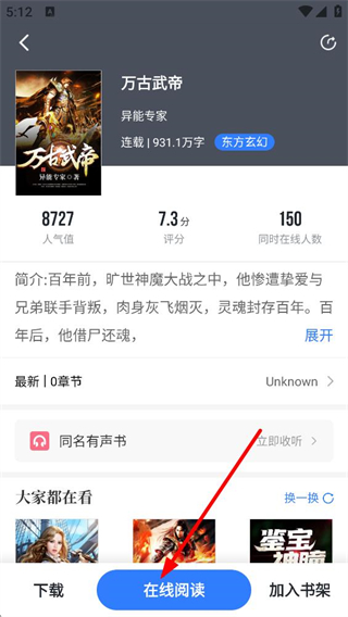 中文书城小说详情页面
