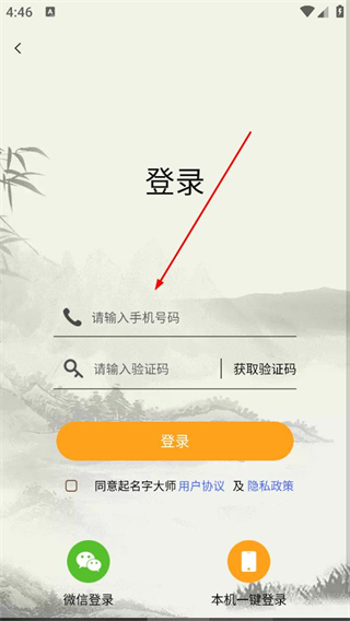 起名字大师登录页面示意图