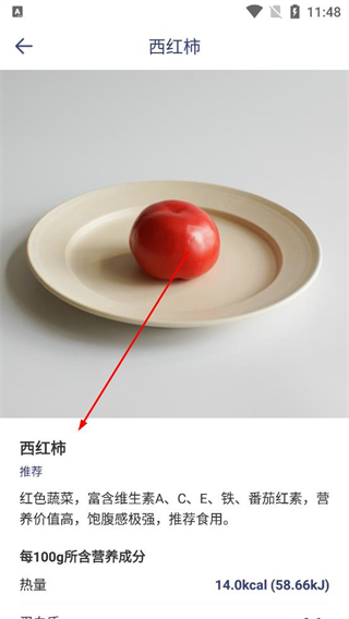 体重记录本西红柿营养详情页