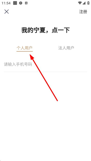 宁警通登录选项 安卓版界面