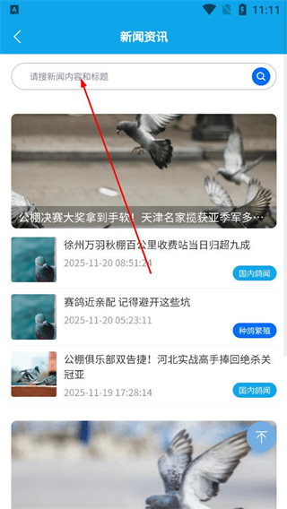 中鸽网资讯搜索功能