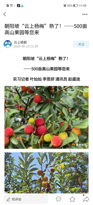 云上硒都资讯详情页