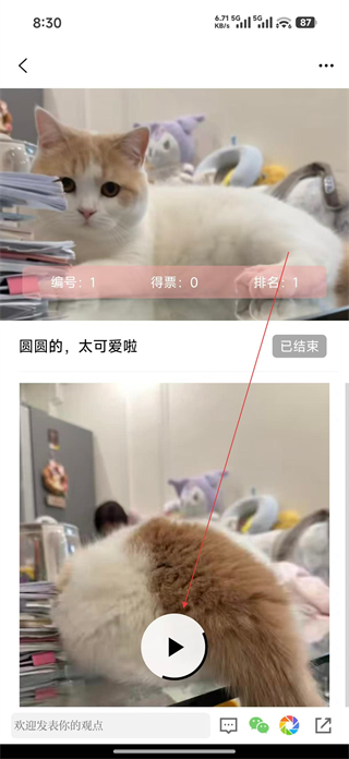 信息日报app短视频播放功能